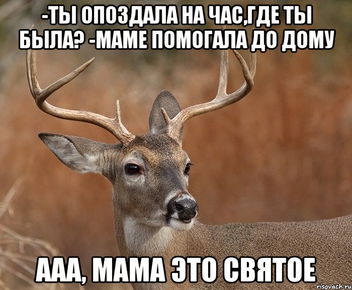 -Ты опоздала на час,где ты была? -маме помогала до дому Ааа, мама это святое, Мем  Наивный Олень v2