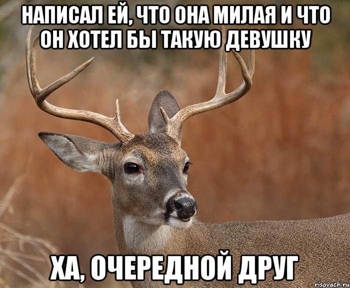 Написал ей, что она милая и что он хотел бы такую девушку Ха, очередной друг, Мем  Наивный Олень v2