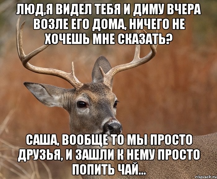 Люд,я видел тебя и Диму вчера возле его дома, ничего не хочешь мне сказать? Саша, вообще то мы просто друзья, и зашли к нему просто попить чай..., Мем  Наивный Олень v2