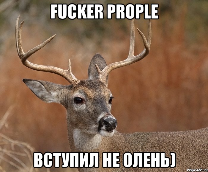 Fucker prople Вступил не олень), Мем  Наивный Олень v2