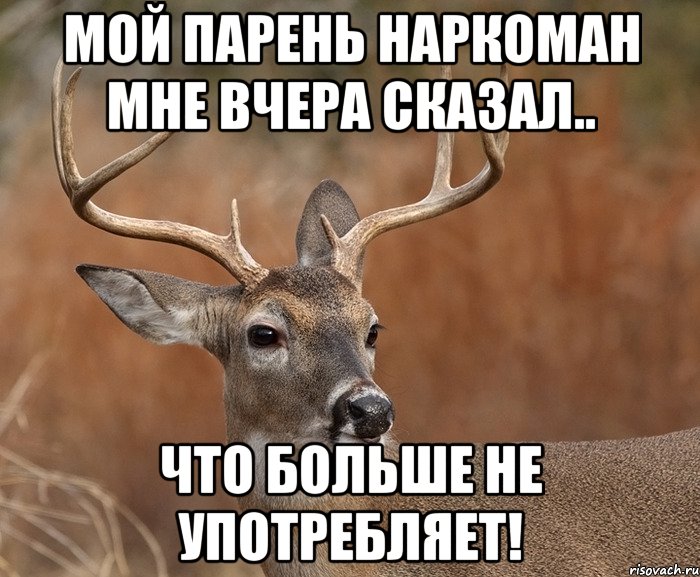 Мой парень наркоман мне вчера сказал.. что больше не употребляет!, Мем  Наивный Олень v2