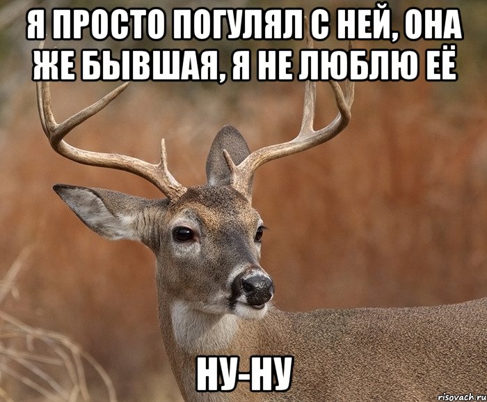 Я просто погулял с ней, она же бывшая, я не люблю её ну-ну, Мем  Наивный Олень v2