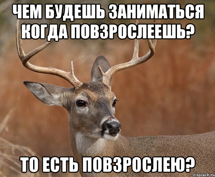 ЧЕМ БУДЕШЬ ЗАНИМАТЬСЯ КОГДА ПОВЗРОСЛЕЕШЬ? ТО ЕСТЬ ПОВЗРОСЛЕЮ?