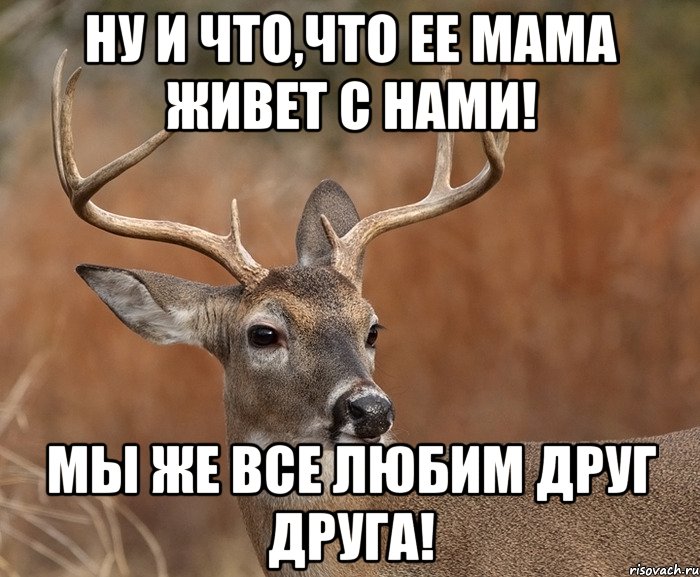 ну и что,что ее мама живет с нами! мы же все любим друг друга!, Мем  Наивный Олень v2