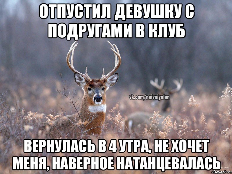 Отпустил девушку с подругами в клуб Вернулась в 4 утра, не хочет меня, наверное натанцевалась, Мем   Наивный олень