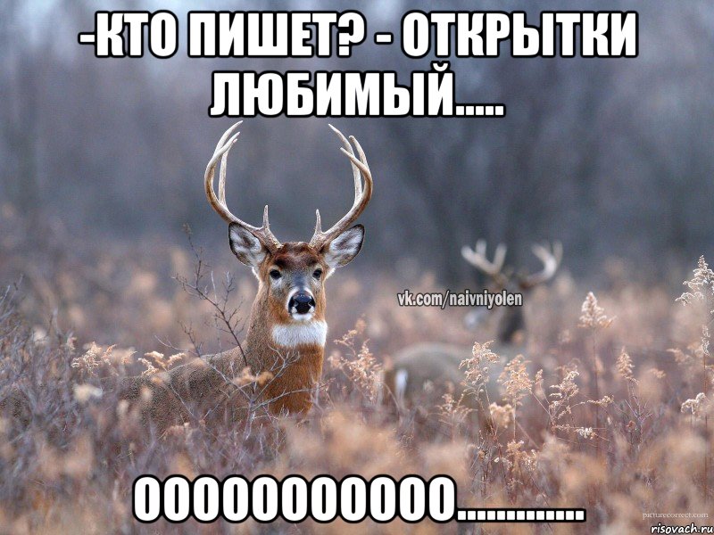 -кто пишет? - открытки любимый..... ооооооооооо............., Мем   Наивный олень