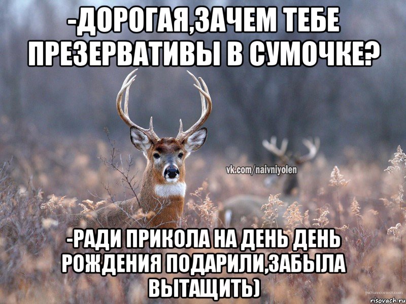 -дорогая,зачем тебе презервативы в сумочке? -ради прикола на день день рождения подарили,забыла вытащить), Мем   Наивный олень