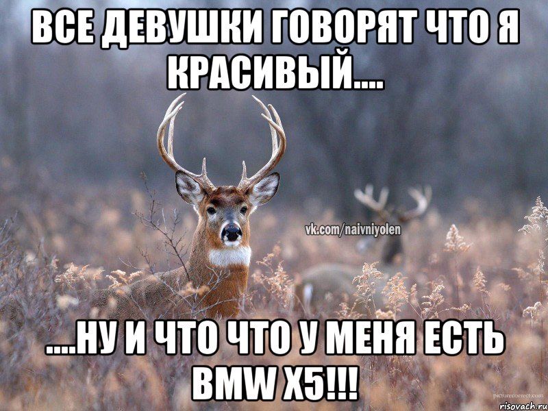 все девушки говорят что я красивый.... ....ну и что что у меня есть BMW X5!!!, Мем   Наивный олень