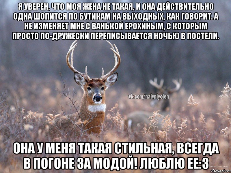 Я уверен, что моя жена не такая, и она действительно одна шопится по бутикам на выходных, как говорит. А не изменяет мне с Ванькой Ерохиным, с которым просто по-дружески переписывается ночью в постели. Она у меня такая стильная, всегда в погоне за модой! Люблю ее:3, Мем   Наивный олень