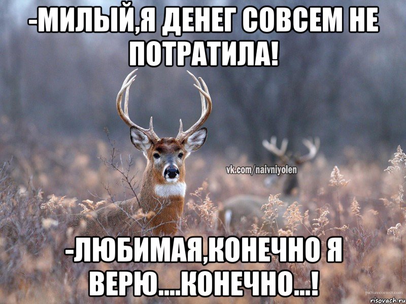 -Милый,я денег совсем не потратила! -Любимая,конечно я верю....конечно...!, Мем   Наивный олень