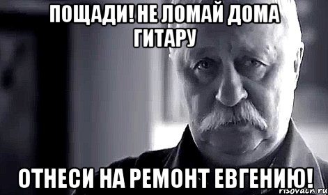 Пощади! Не ломай дома гитару Отнеси на ремонт Евгению!, Мем Не огорчай Леонида Аркадьевича