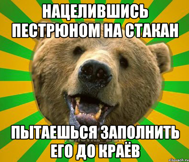 НАЦЕЛИВШИСЬ ПЕСТРЮНОМ НА СТАКАН ПЫТАЕШЬСЯ ЗАПОЛНИТЬ ЕГО ДО КРАЁВ, Мем Нелепый медведь