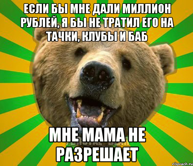 ЕСЛИ БЫ МНЕ ДАЛИ МИЛЛИОН РУБЛЕЙ, Я БЫ НЕ ТРАТИЛ ЕГО НА ТАЧКИ, КЛУБЫ И БАБ МНЕ МАМА НЕ РАЗРЕШАЕТ, Мем Нелепый медведь