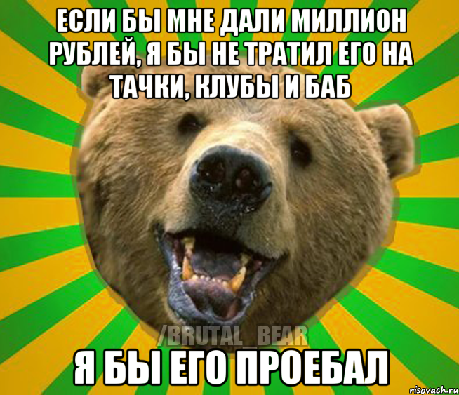 ЕСЛИ БЫ МНЕ ДАЛИ МИЛЛИОН РУБЛЕЙ, Я БЫ НЕ ТРАТИЛ ЕГО НА ТАЧКИ, КЛУБЫ И БАБ Я БЫ ЕГО ПРОЕБАЛ, Мем Нелепый медведь