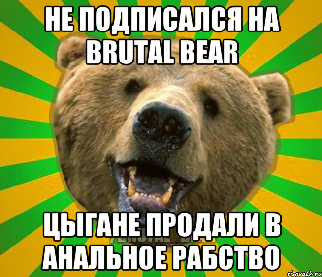 НЕ ПОДПИСАЛСЯ НА BRUTAL BEAR ЦЫГАНЕ ПРОДАЛИ В АНАЛЬНОЕ РАБСТВО, Мем Нелепый медведь