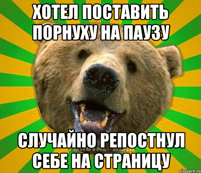 ХОТЕЛ ПОСТАВИТЬ ПОРНУХУ НА ПАУЗУ СЛУЧАЙНО РЕПОСТНУЛ СЕБЕ НА СТРАНИЦУ, Мем Нелепый медведь