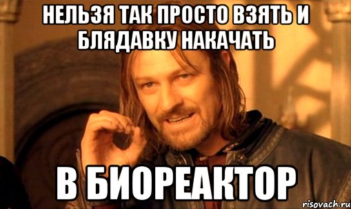 НЕЛЬЗЯ ТАК ПРОСТО ВЗЯТЬ И БЛЯДАВКУ НАКАЧАТЬ В БИОРЕАКТОР, Мем Нельзя просто так взять и (Боромир мем)