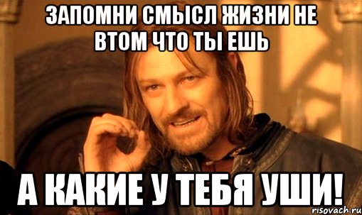 ЗАПОМНИ СМЫСЛ ЖИЗНИ НЕ ВТОМ ЧТО ТЫ ЕШЬ А КАКИЕ У ТЕБЯ УШИ!, Мем Нельзя просто так взять и (Боромир мем)