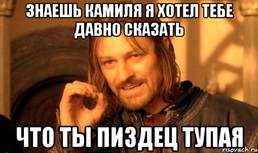 знаешь камиля я хотел тебе давно сказать что ты пиздец тупая, Мем Нельзя просто так взять и (Боромир мем)