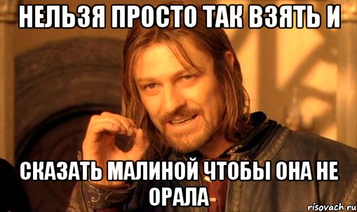 нельзя просто так взять и сказать малиной чтобы она не орала, Мем Нельзя просто так взять и (Боромир мем)