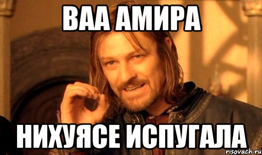 ваа амира нихуясе испугала, Мем Нельзя просто так взять и (Боромир мем)