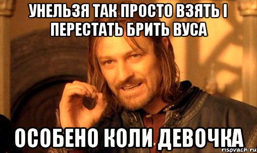 унельзя так просто взять і перестать брить вуса особено коли девочка, Мем Нельзя просто так взять и (Боромир мем)