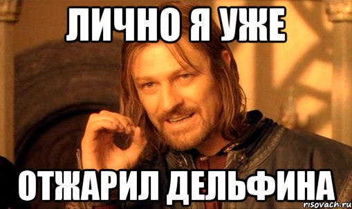 лично я уже отжарил дельфина, Мем Нельзя просто так взять и (Боромир мем)