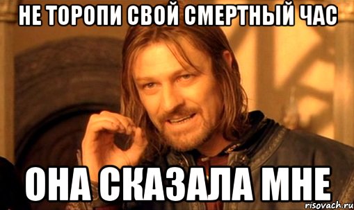 НЕ ТОРОПИ СВОЙ СМЕРТНЫЙ ЧАС ОНА СКАЗАЛА МНЕ, Мем Нельзя просто так взять и (Боромир мем)