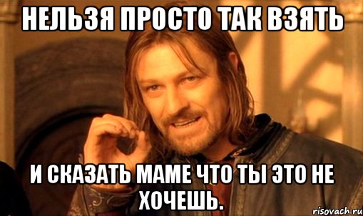 Нельзя просто так взять и сказать маме что ты это не хочешь., Мем Нельзя просто так взять и (Боромир мем)