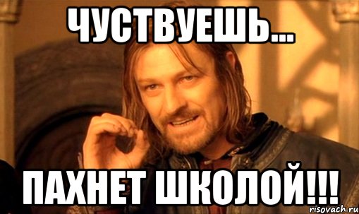 Чуствуешь... пахнет ШКОЛОЙ!!!, Мем Нельзя просто так взять и (Боромир мем)