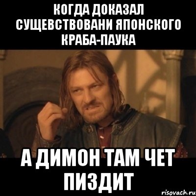 Когда доказал сущевствовани японского краба-паука А димон там чет пиздит, Мем Нельзя просто взять