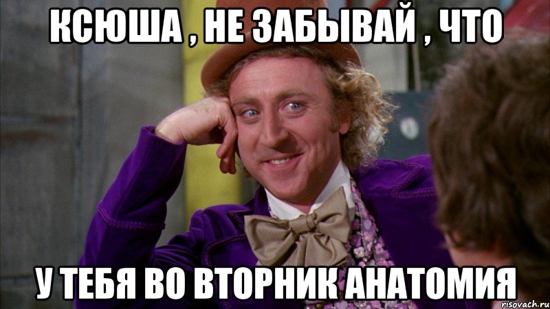 Ксюша , не забывай , что у тебя во вторник анатомия, Мем Ну давай расскажи (Вилли Вонка)