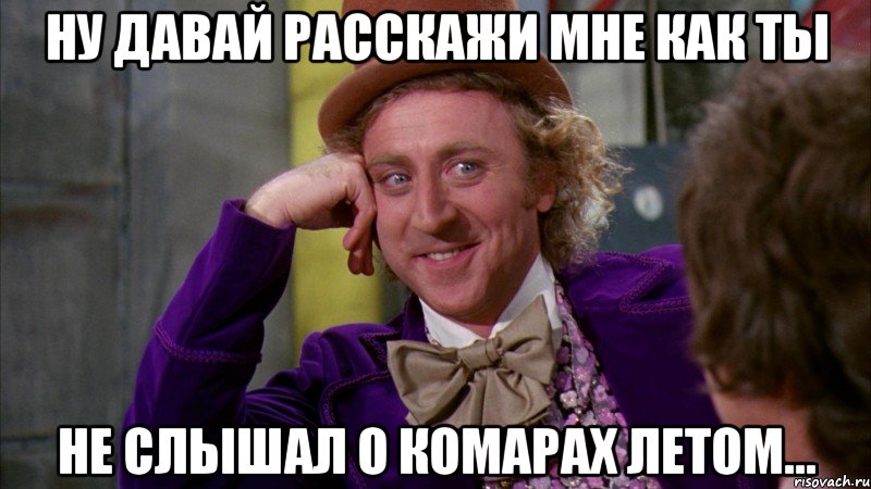 НУ ДАВАЙ РАССКАЖИ МНЕ КАК ТЫ НЕ СЛЫШАЛ О КОМАРАХ ЛЕТОМ..., Мем Ну давай расскажи (Вилли Вонка)