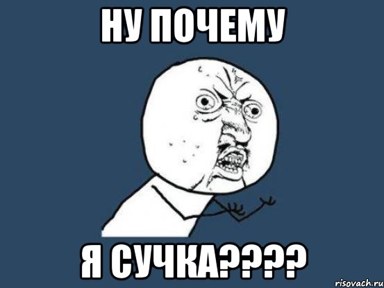 НУ ПОЧЕМУ Я СУЧКА????, Мем Ну почему