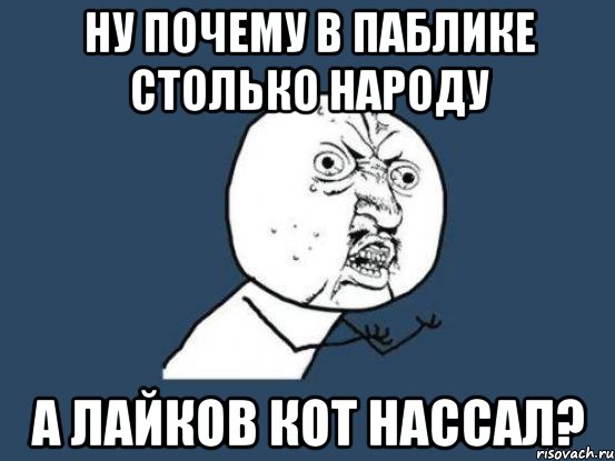 ну почему в паблике столько народу а лайков кот нассал?, Мем Ну почему