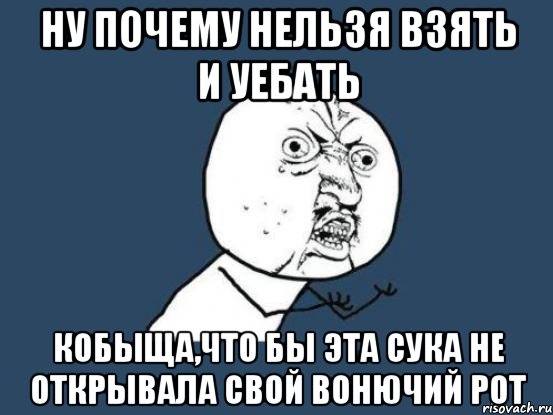 ну почему нельзя взять и уебать кобыща,что бы эта сука не открывала свой вонючий рот, Мем Ну почему