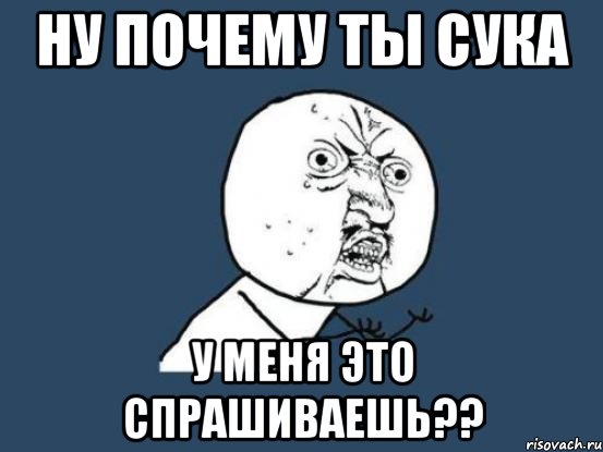 ну почему ты сука у меня это спрашиваешь??, Мем Ну почему