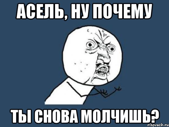 АСЕЛЬ, НУ ПОЧЕМУ ТЫ СНОВА МОЛЧИШЬ?, Мем Ну почему