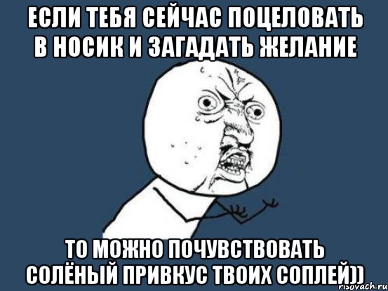 Если тебя сейчас поцеловать в носик и загадать желание то можно почувствовать солёный привкус твоих соплей)), Мем Ну почему