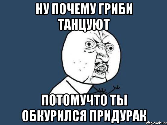 Ну почему гриби танцуют Потомучто ты обкурился придурак, Мем Ну почему