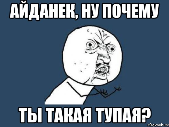 Айданек, ну почему Ты такая тупая?, Мем Ну почему