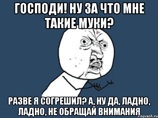 Господи! Ну за что мне такие муки? Разве я согрешил? А, ну да, ладно, ладно, не обращай внимания, Мем Ну почему