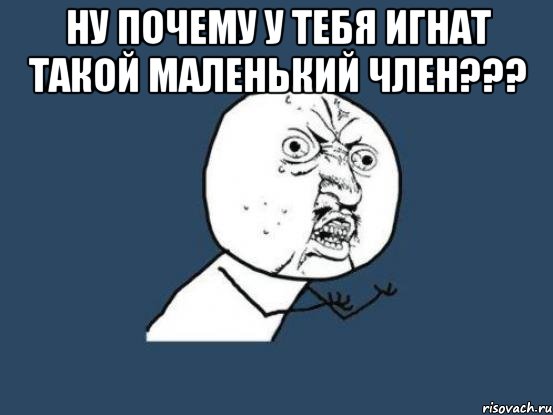 ну почему у тебя Игнат такой маленький член??? , Мем Ну почему