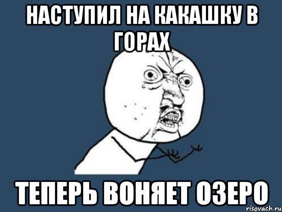 Наступил на какашку в горах Теперь воняет озеро, Мем Ну почему