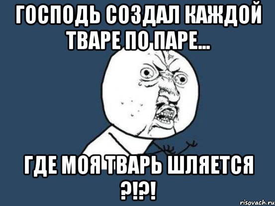 Господь создал каждой тваре по паре... где МОЯ ТВАРЬ ШЛЯЕТСЯ ?!?!, Мем Ну почему