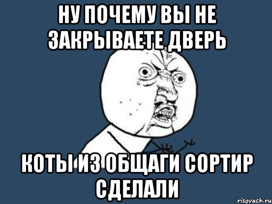 ну почему вы не закрываете дверь коты из общаги сортир сделали, Мем Ну почему