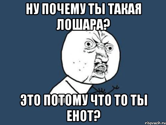 Ну почему ты такая лошара? Это потому что то ты енот?, Мем Ну почему