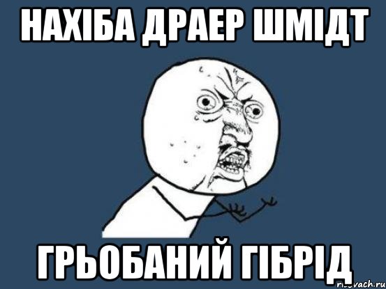 нахіба драер шмідт грьобаний гібрід, Мем Ну почему