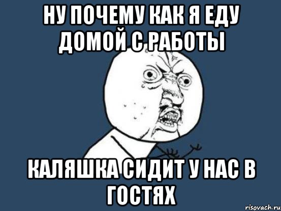 Ну почему как я еду домой с работы Каляшка сидит у нас в гостях, Мем Ну почему