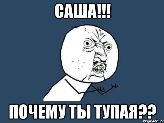 Саша!!! Почему ты тупая??, Мем Ну почему